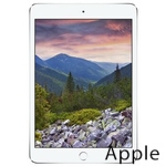 Ремонт Apple iPad mini 3 в Магнитогорске